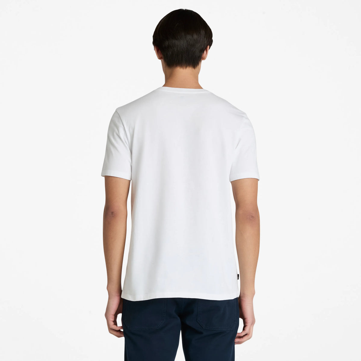 XL