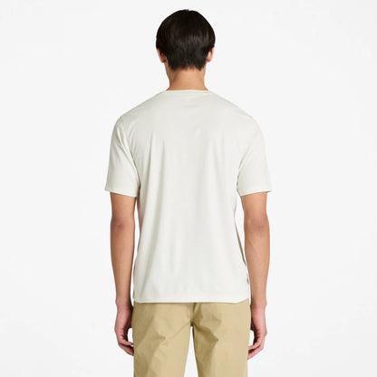 3XL