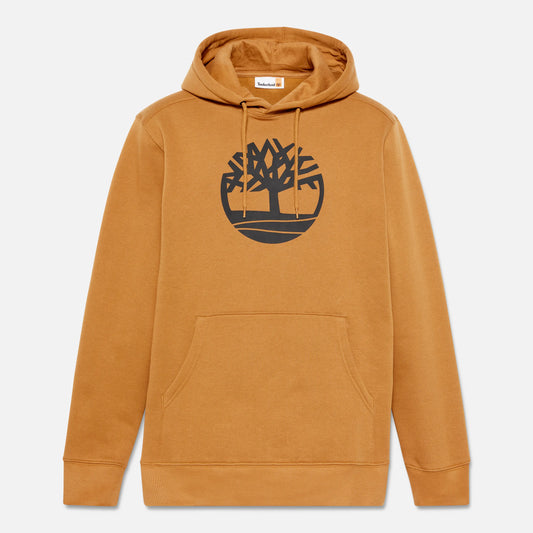 XL