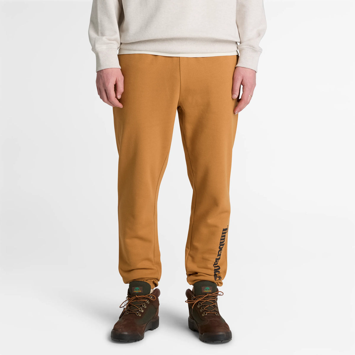 3XL
