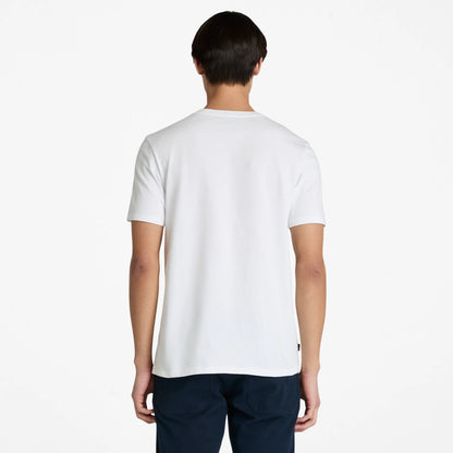XL
