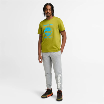 XL