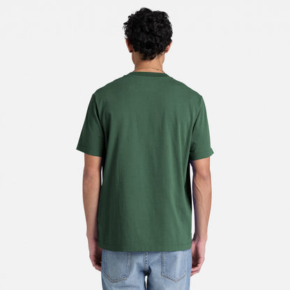 XL