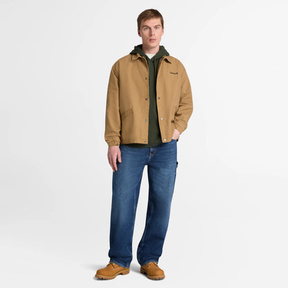 XL